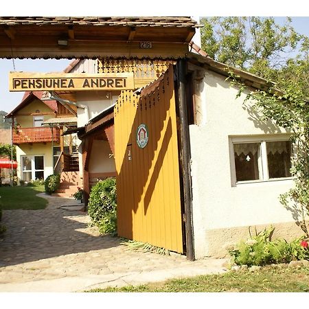 Pensiunea Andrei Sibiel Εξωτερικό φωτογραφία